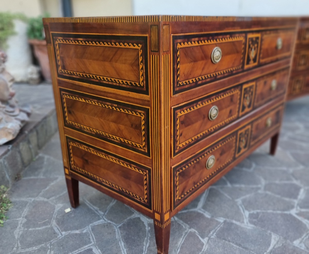 Paire de commodes du XVIIIe siècle Directoire Napolitain noyer érable amarante et bois de rose-photo-7