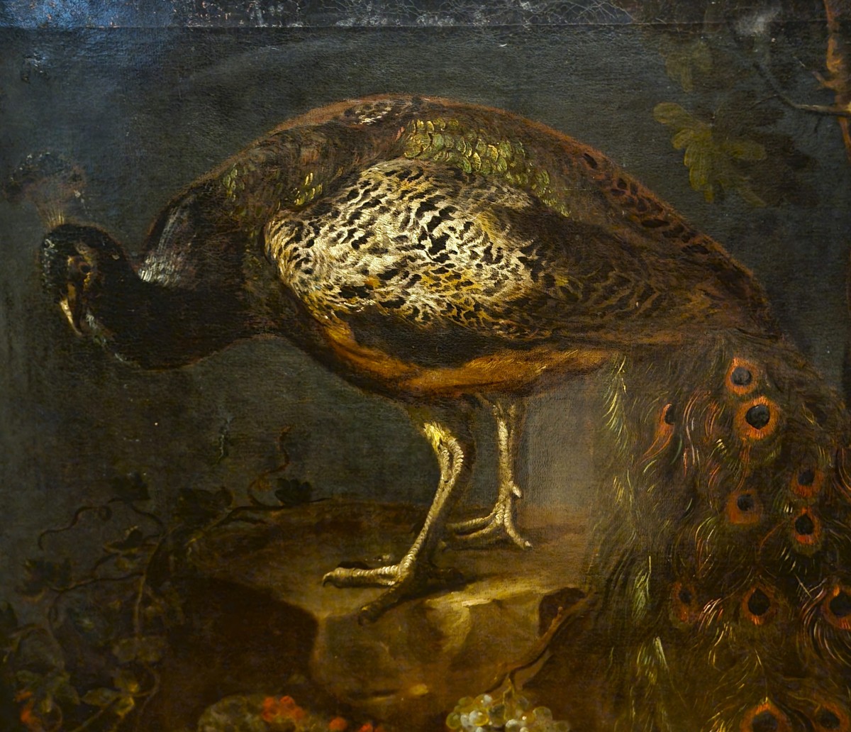 Huile sur toile Nature morte au Paon Baldassarre De Caro 1689-1750 avec Expertise-photo-2