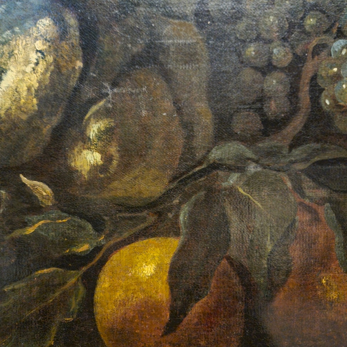 Huile sur toile Nature morte au Paon Baldassarre De Caro 1689-1750 avec Expertise-photo-3