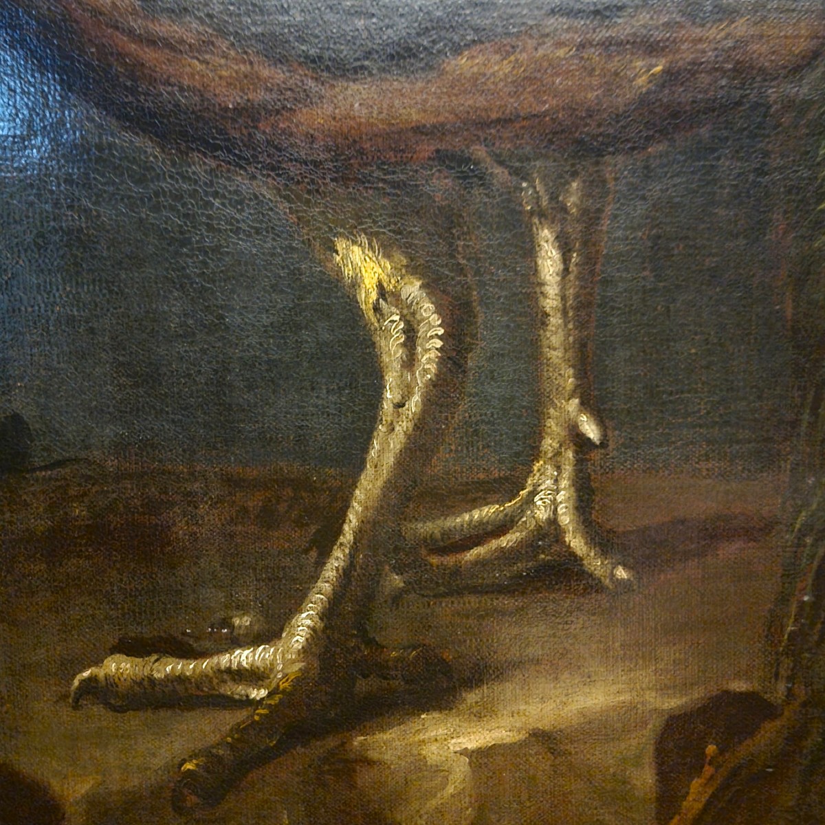 Huile sur toile Nature morte au Paon Baldassarre De Caro 1689-1750 avec Expertise-photo-5