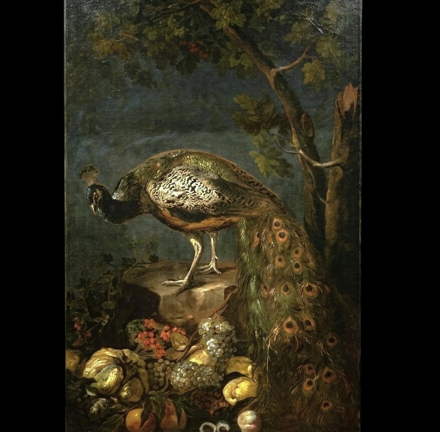 Huile sur toile Nature morte au Paon Baldassarre De Caro 1689-1750 avec Expertise-photo-7