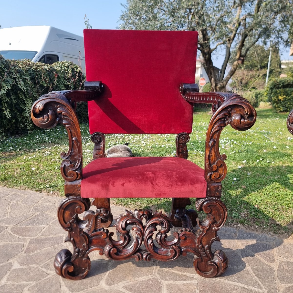 Pair Of 19th-century Hand-carved Walnut Armchairs-photo-5