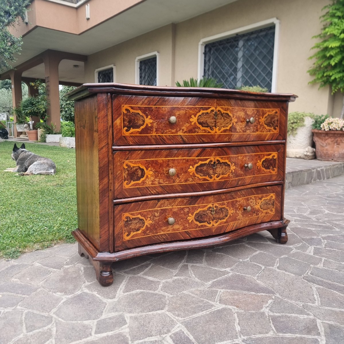 Commode lombarde de la fin du XVII siècle en noyer avec marqueterie-photo-4