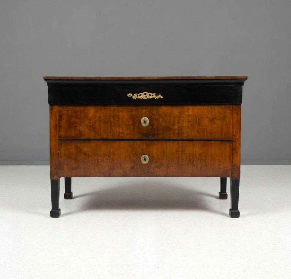 Paire de commodes 1790 Directoire en noyer de Bologne-photo-2