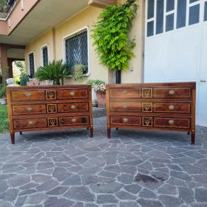 Paire de commodes du XVIIIe siècle Directoire Napolitain noyer érable amarante et bois de rose