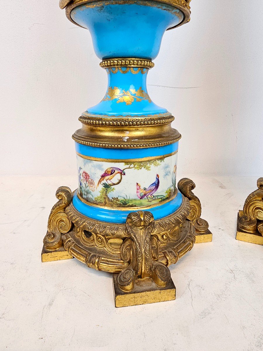 A Pair Of Sevres Lamps-photo-4
