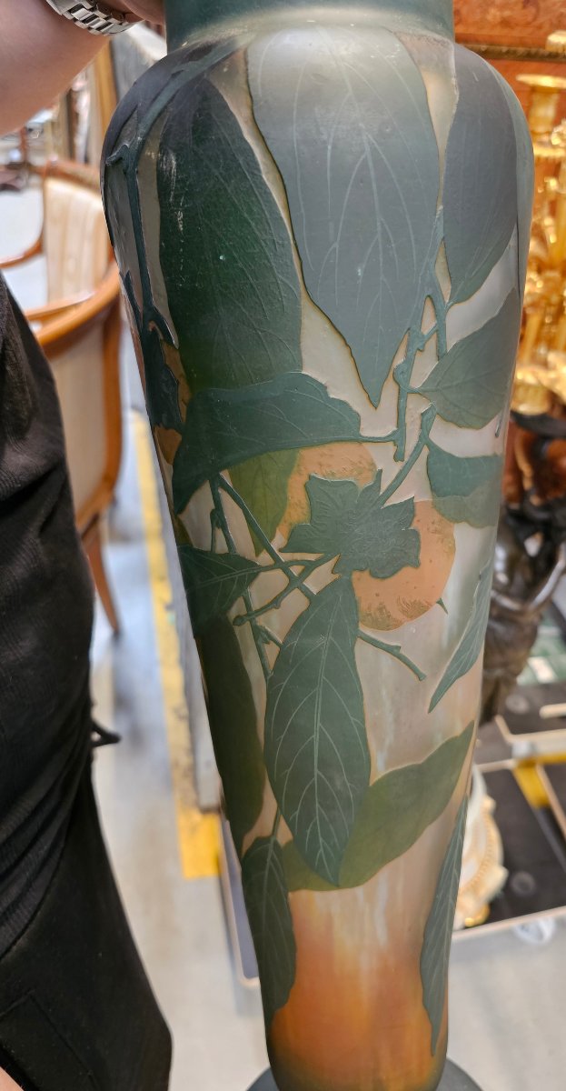 Daum Nancy  Art Nouveau-photo-1