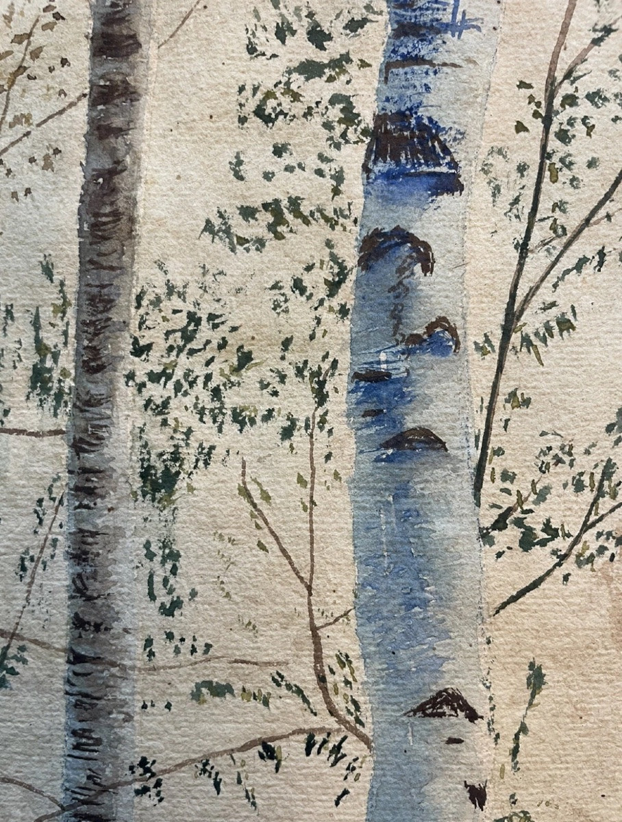 Undergrowth Landscape On The Edge Of A River, 20th Century-photo-3
