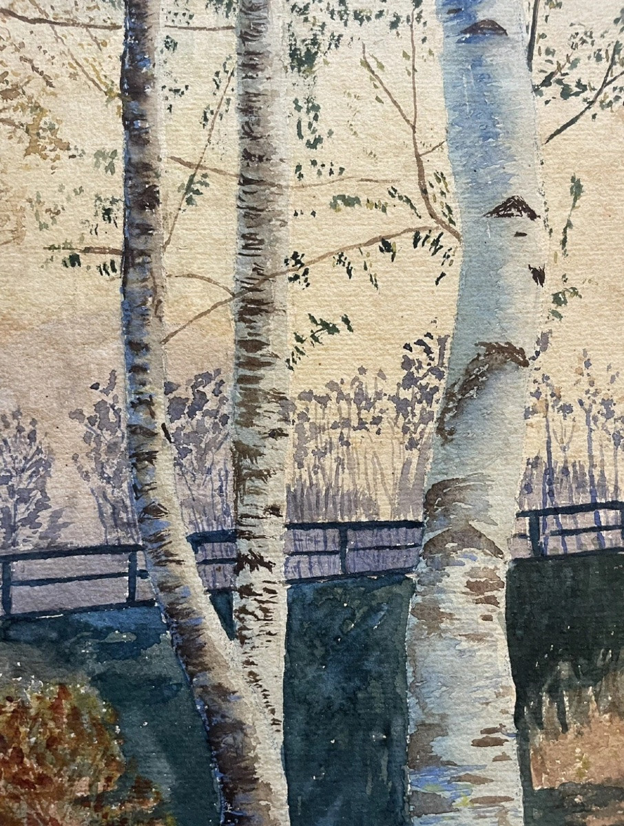Undergrowth Landscape On The Edge Of A River, 20th Century-photo-3