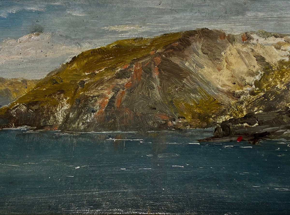 La côte irlandaise, Edwin Hayes, XIXe -photo-4