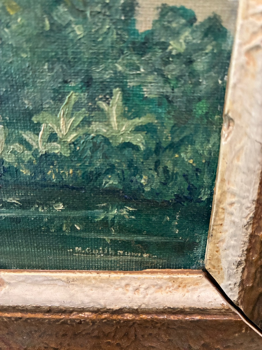 Paysage tropical aux palmiers XXe-photo-5