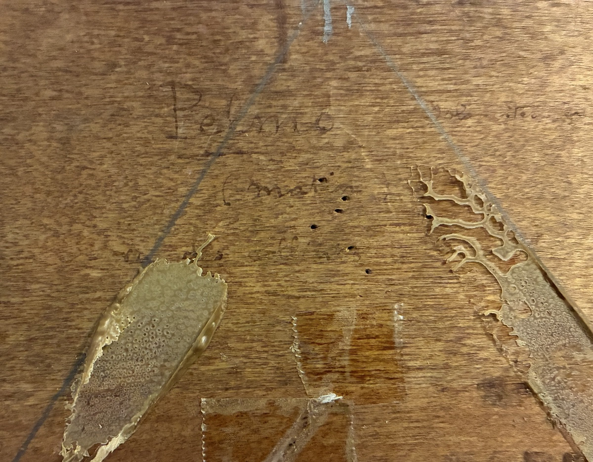 Monte Pelmo, Jeanès Sigismond -photo-5