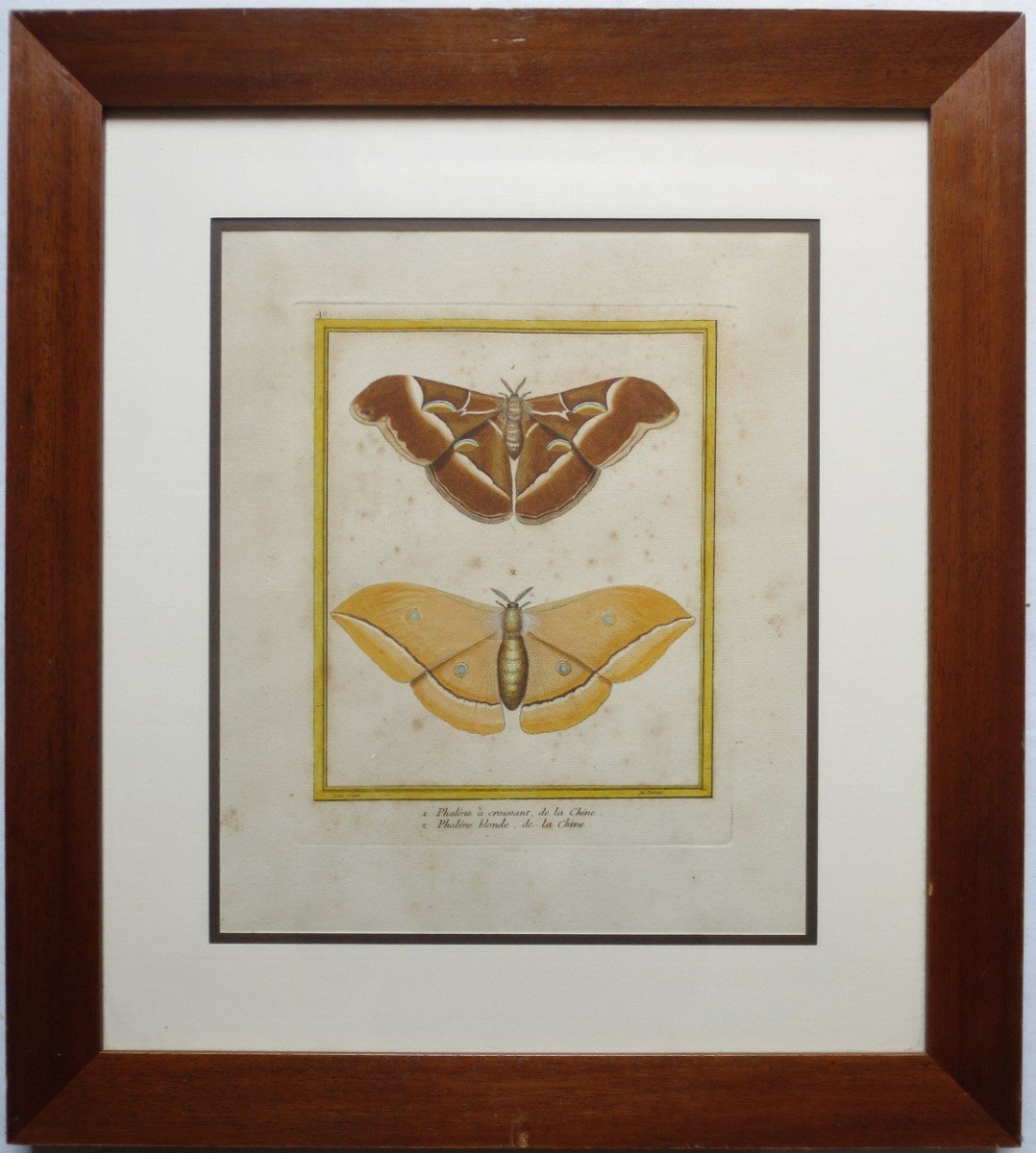 Paire De Gravures Aquarellées, XVIIIe Siècle.-photo-2