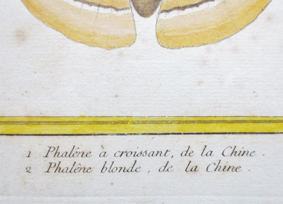 Paire De Gravures Aquarellées, XVIIIe Siècle.-photo-1