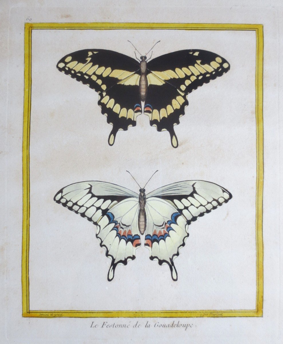 Pair Of Engraving By Martinet, Eighteenth Century.-photo-2