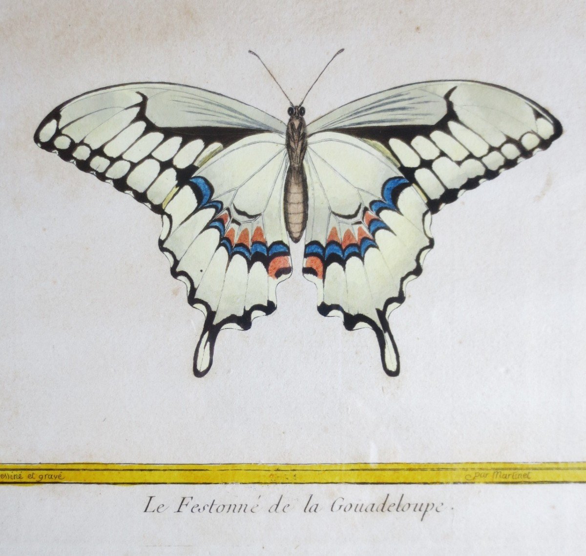 Pair Of Engraving By Martinet, Eighteenth Century.-photo-1