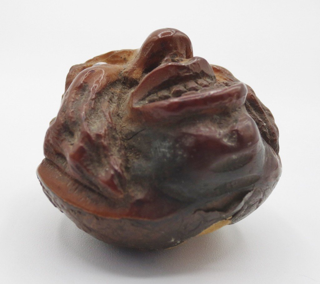 Carved Horse Chestnut, 19th Century.-photo-3