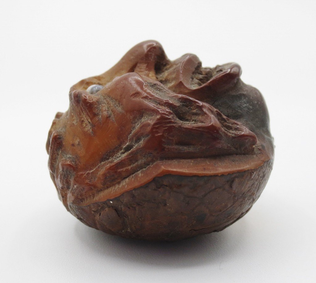 Carved Horse Chestnut, 19th Century.-photo-4