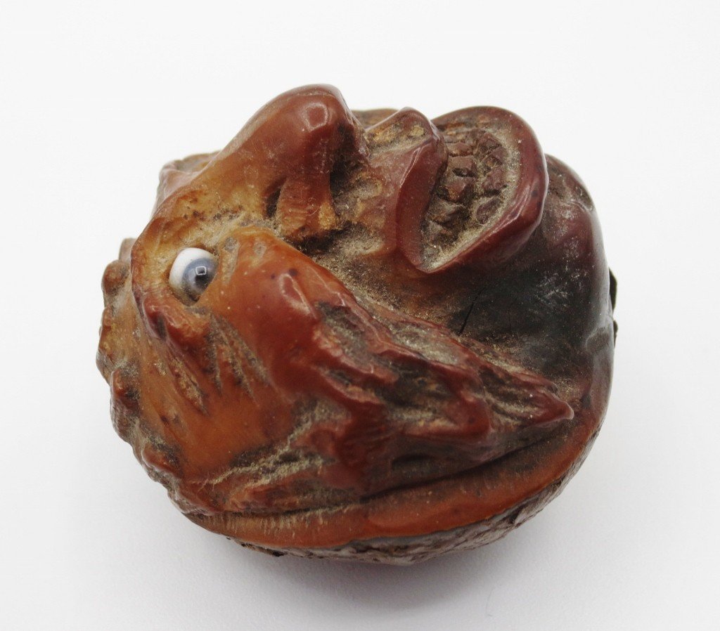 Carved Horse Chestnut, 19th Century.-photo-1