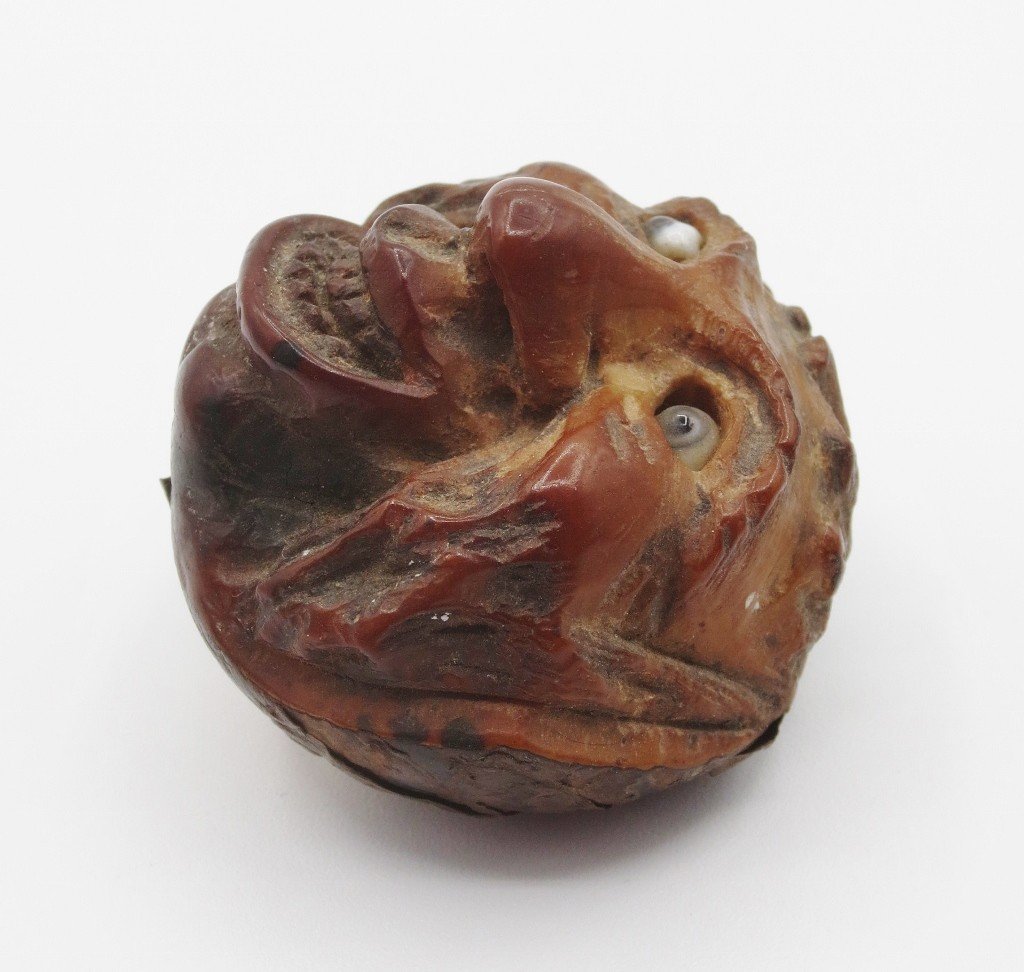 Carved Horse Chestnut, 19th Century.-photo-3