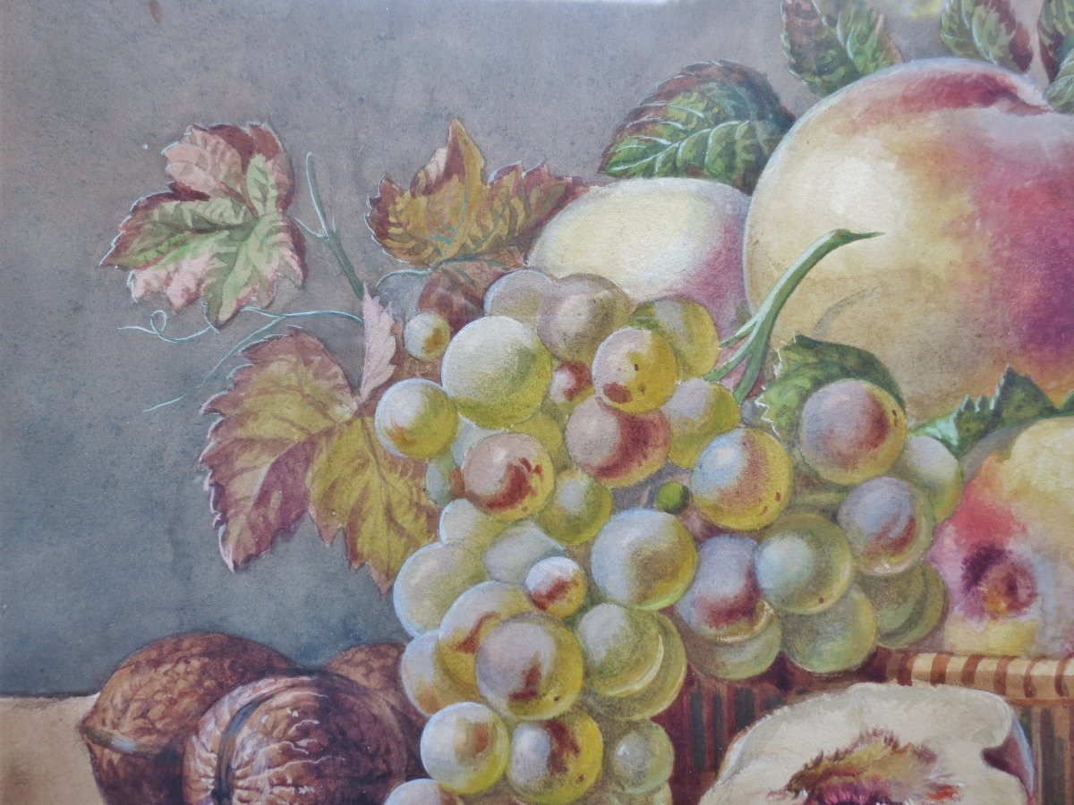 Still Life With Fruit, 19th Century Gouache. -photo-4