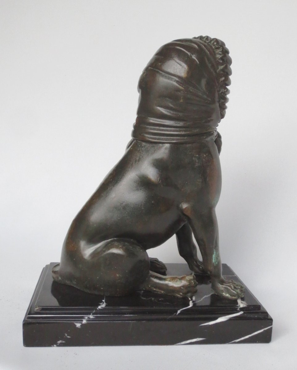 Couple de carlins en bronze, XXe siècle. -photo-7