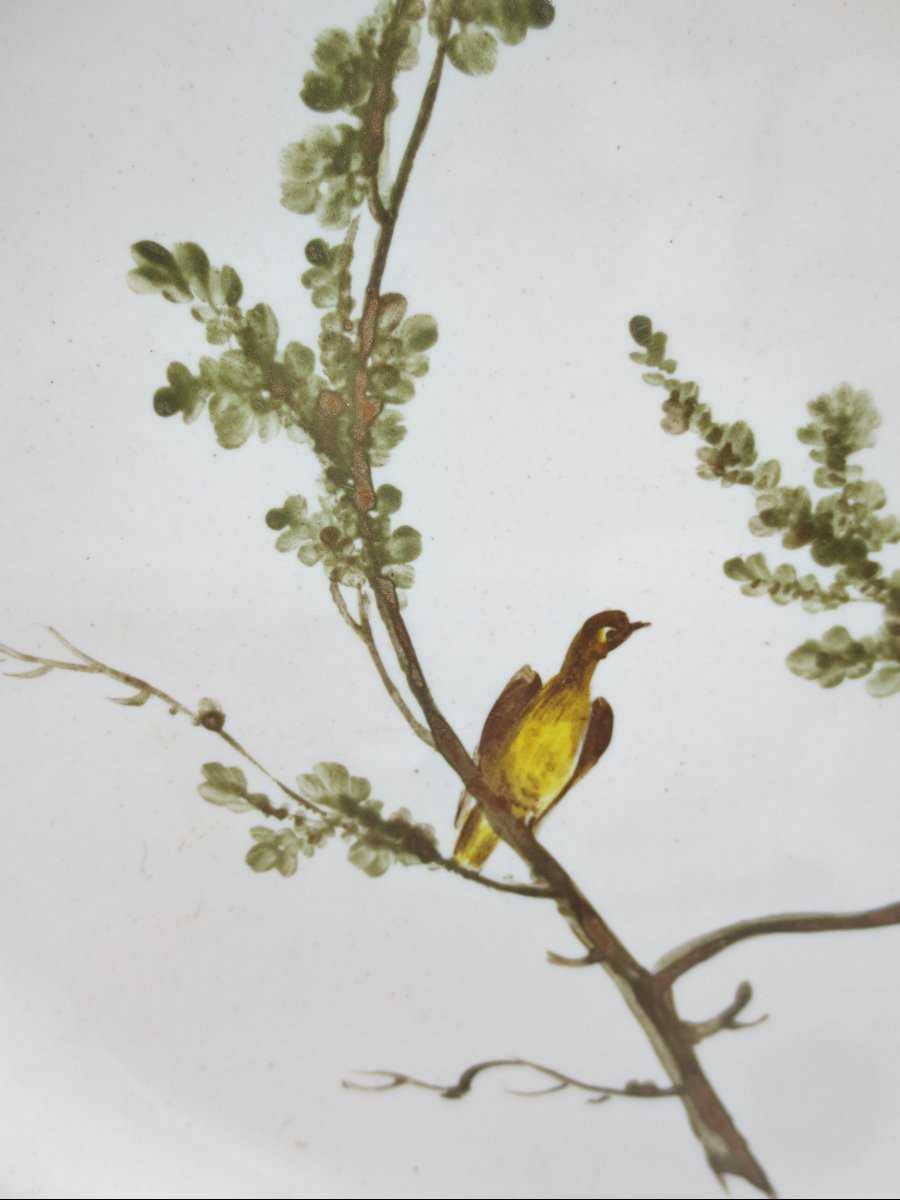 Assiette Marseille, XVIIIe siècle. -photo-2