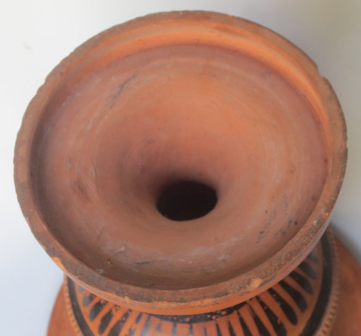 Medici Vase In Terracotta.-photo-8