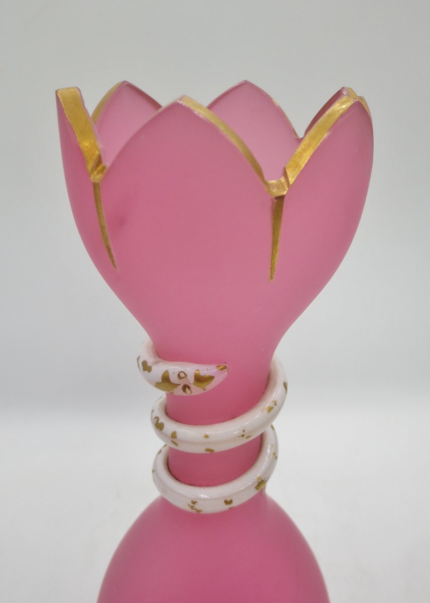 Pair Of "pigeon-throat" Opaline Glass Vases, 19th Century.-photo-1