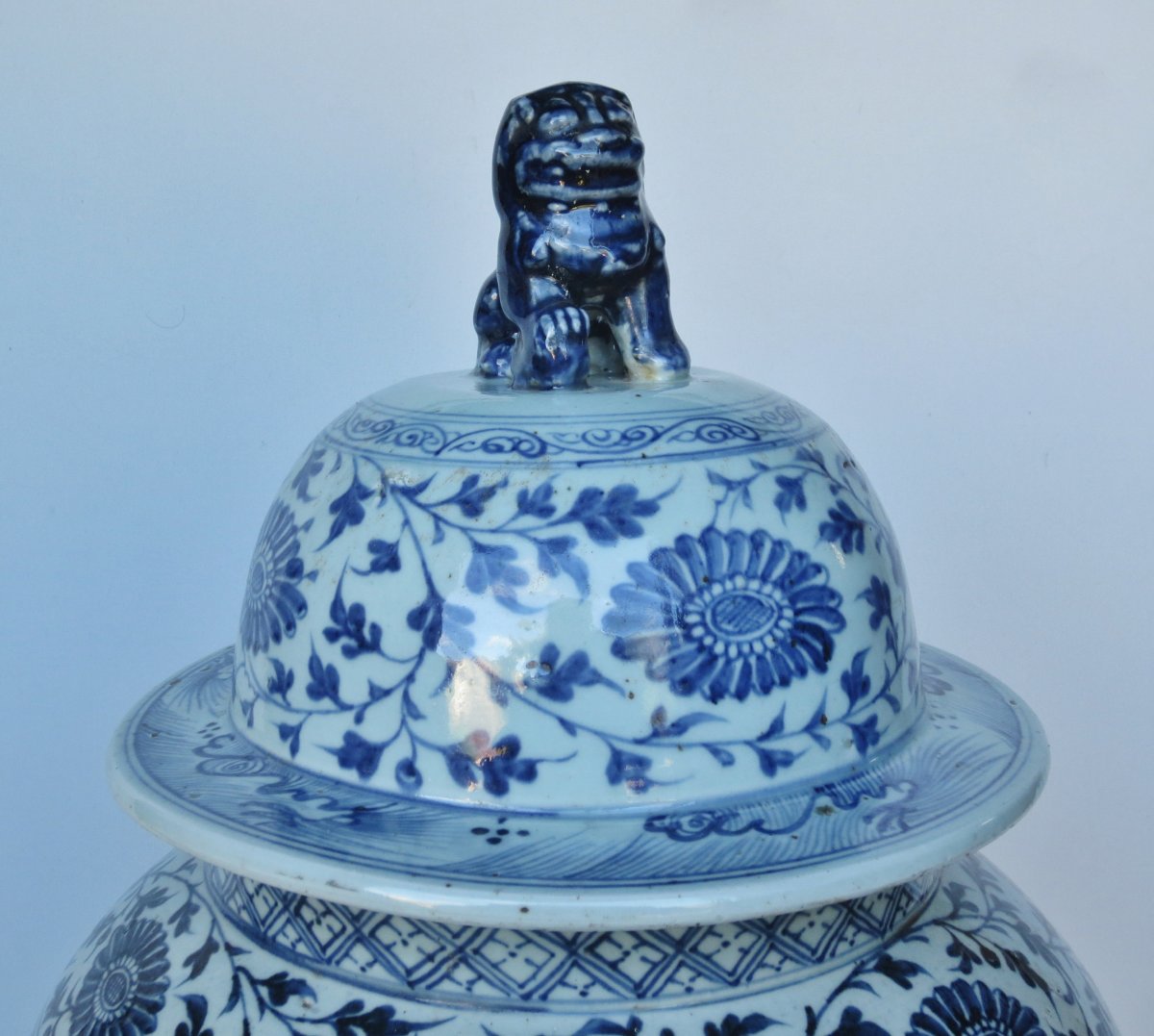 Chinese Porcelain Vase, 19th Century.-photo-5