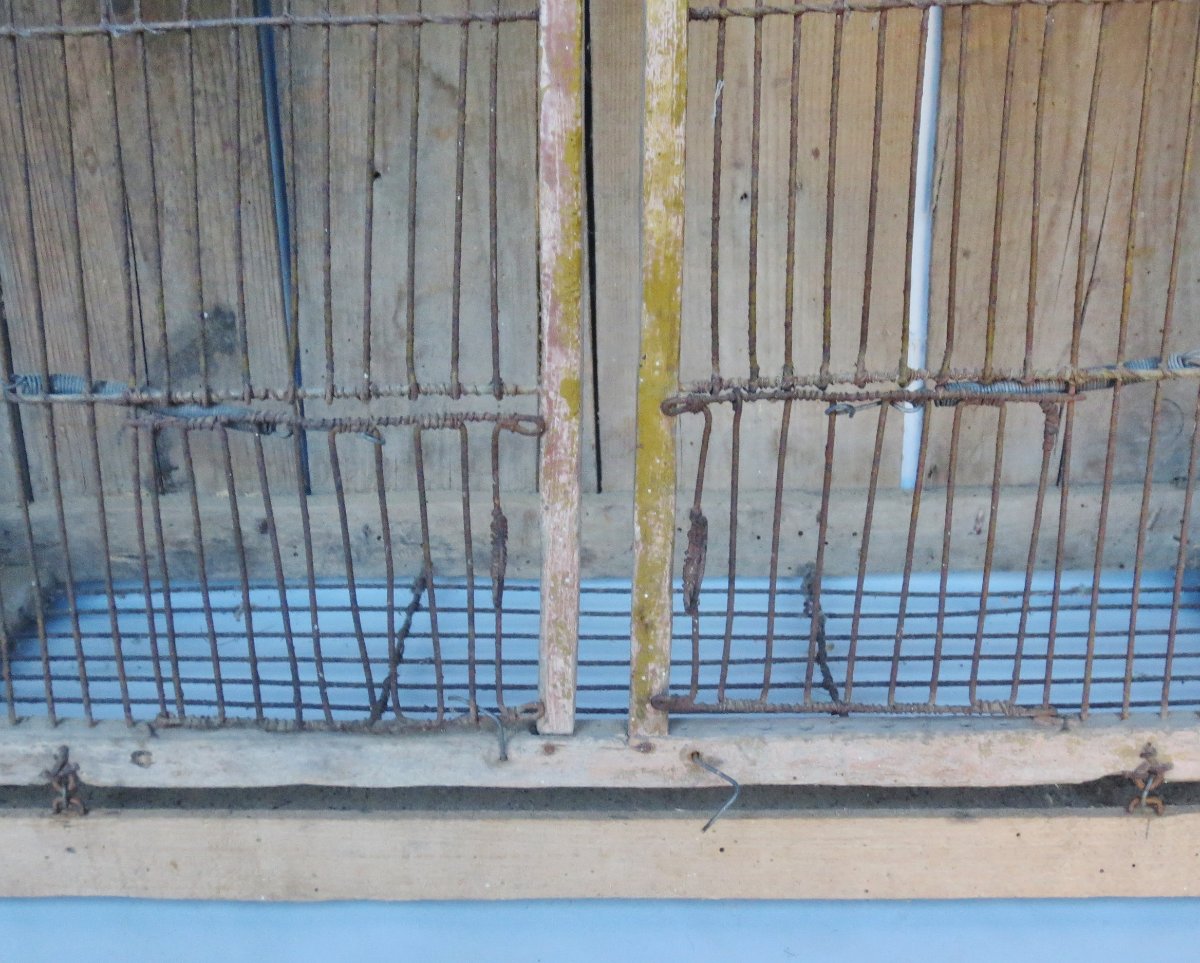 Cage à oiseaux XIXe siècle. -photo-1