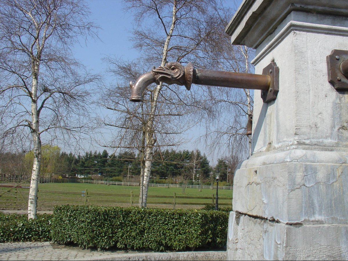 Gargouille antique en bronze-photo-3