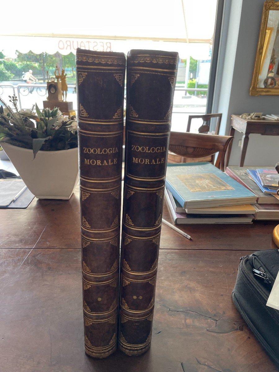 Book "zoologia Morale Esposta In Cento Venti Discorsi.. ". Battelli, Firenze 1843-photo-4