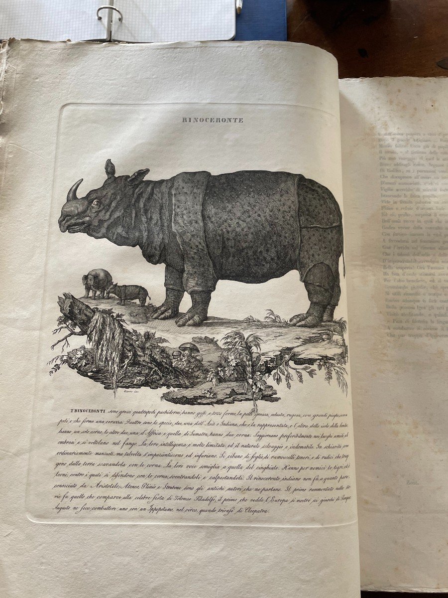 Livre "zoologia Morale Esposta In Cento Venti Discorsi.. ". Battelli, Firenze 1843-photo-1