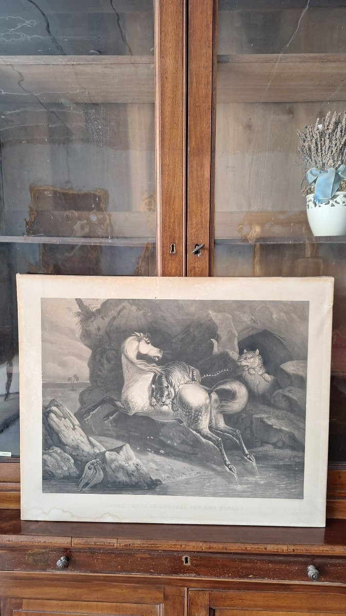 Engraving By Philippe Ledieu, 1834. "wild Horse Surprised By Tigers"-photo-4