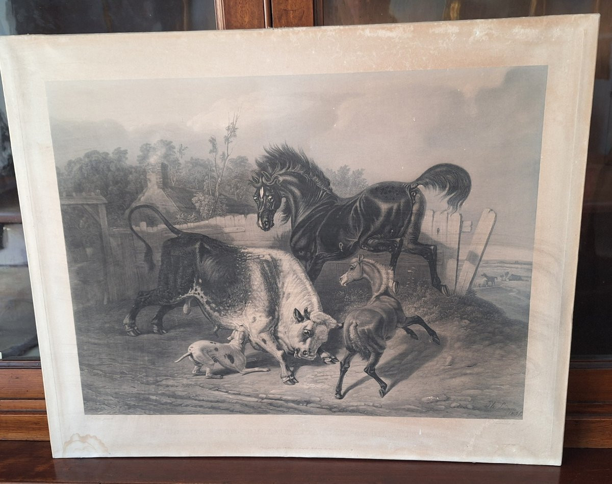 Gravure de Philippe Ledieu, 1834. «Jument e son poullain attaques par un taureau»-photo-4