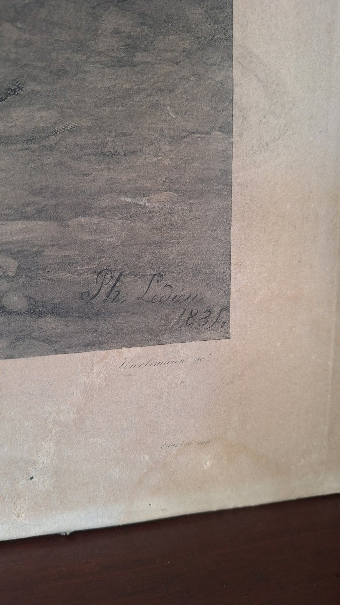Gravure de Philippe Ledieu, 1834. «Jument e son poullain attaques par un taureau»-photo-2