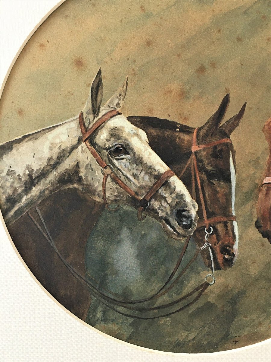 Watercolor Three Portraits Of Horses, Signature To Be Identified, Late 19th Early 20th-photo-2
