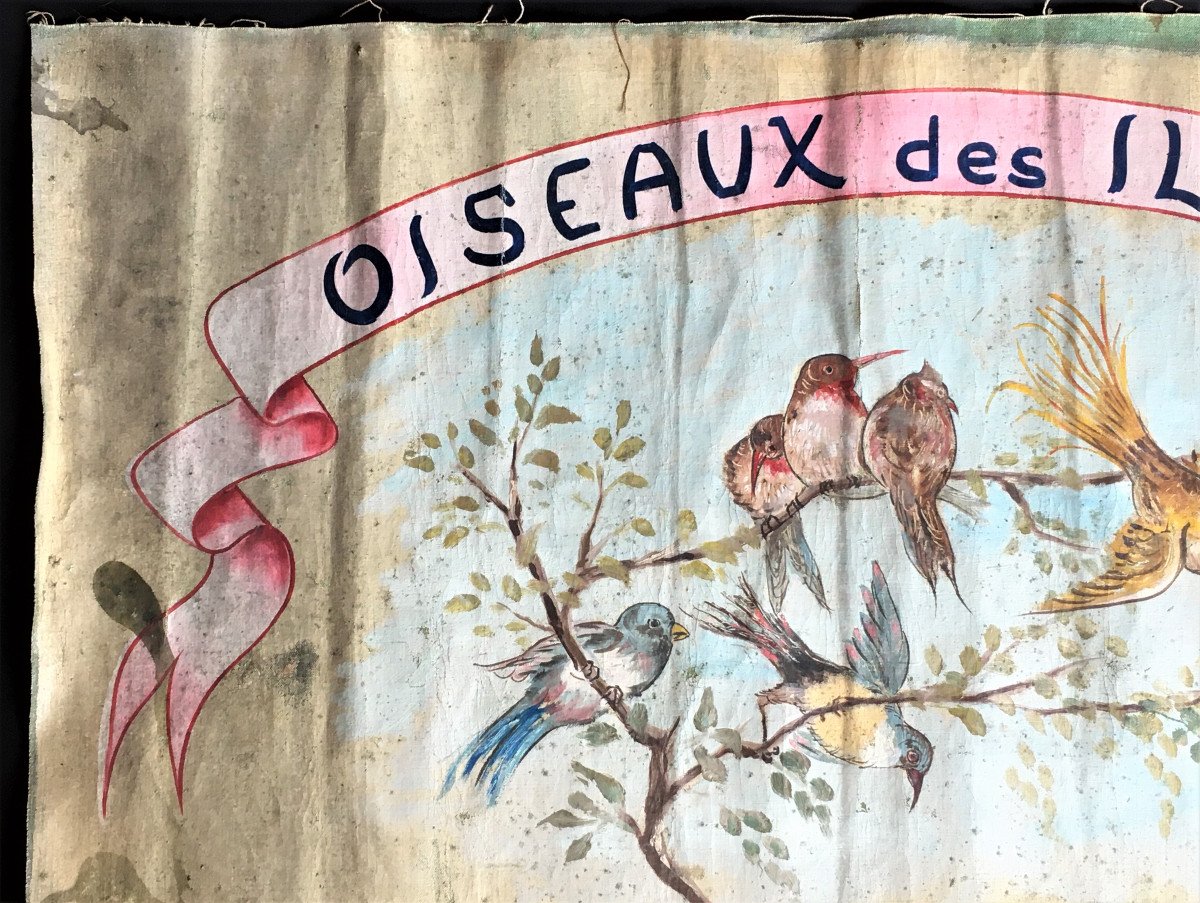 Enseigne d'Oiseleur Toile Peinte 1924, oiseaux des îles.-photo-4