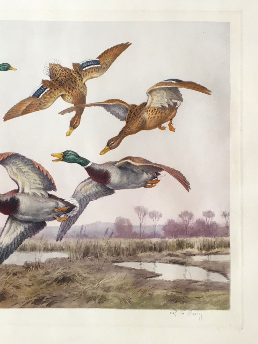 Georges Frédéric Rötig 1873/1961), “flight Of Ducks” Drypoint And Etching, Print-photo-1