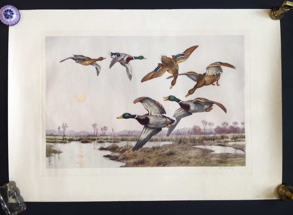 Georges Frédéric Rötig 1873/1961), “flight Of Ducks” Drypoint And Etching, Print