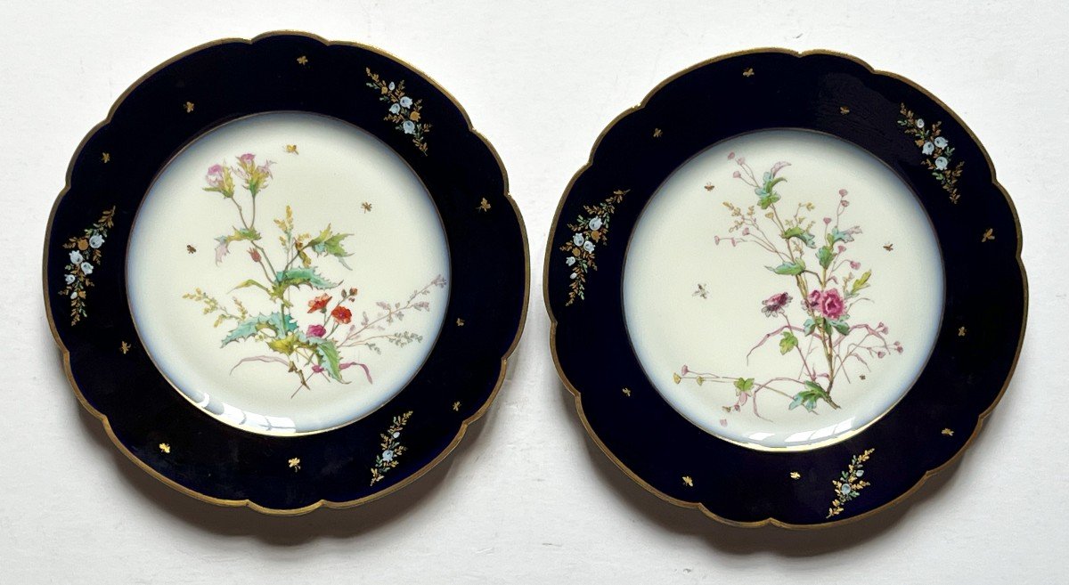 Haviland 1876 Pair Of Plates With Floral Decor From The 19th.