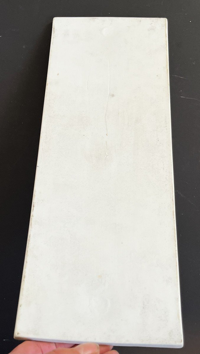 Large 19th Century Polychrome Biscuit Porcelain Relief Flower Plaque-photo-7