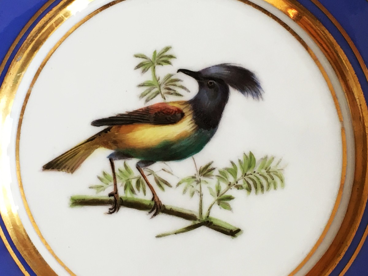 Assiette d'époque restauration en porcelaine de Paris à décor d'oiseau.-photo-3
