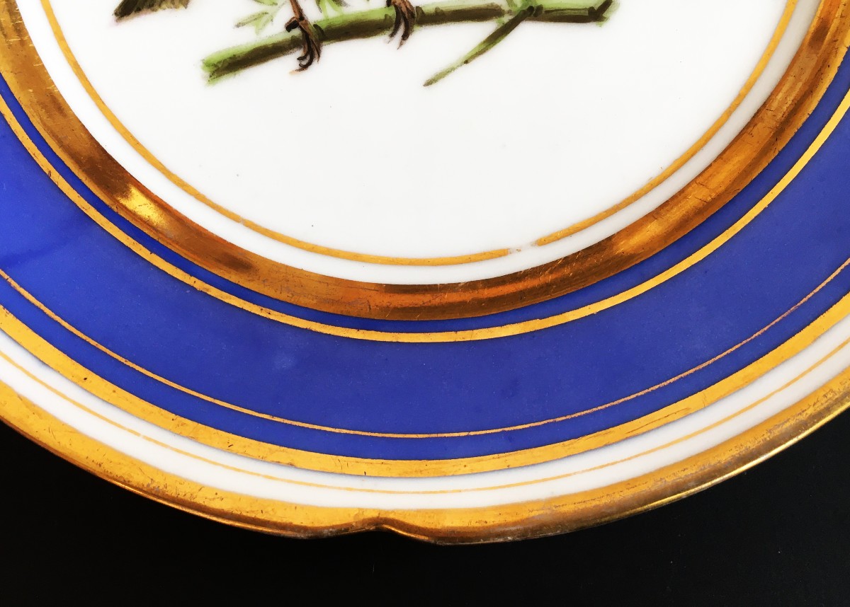 Assiette d'époque restauration en porcelaine de Paris à décor d'oiseau.-photo-3