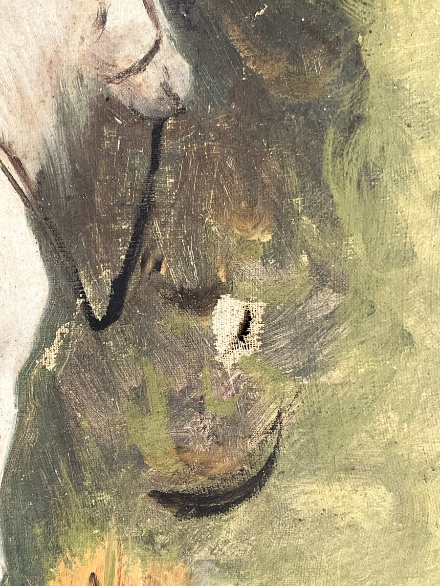 "the White Horse" Oil On Canvas From The 19th Century, Attic Sketch, Unsigned.-photo-2