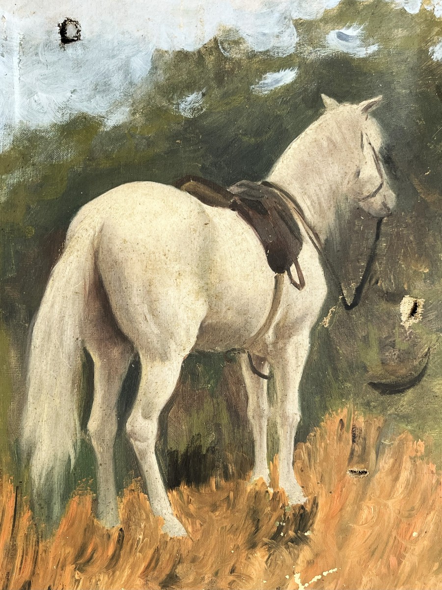 "the White Horse" Oil On Canvas From The 19th Century, Attic Sketch, Unsigned.-photo-5