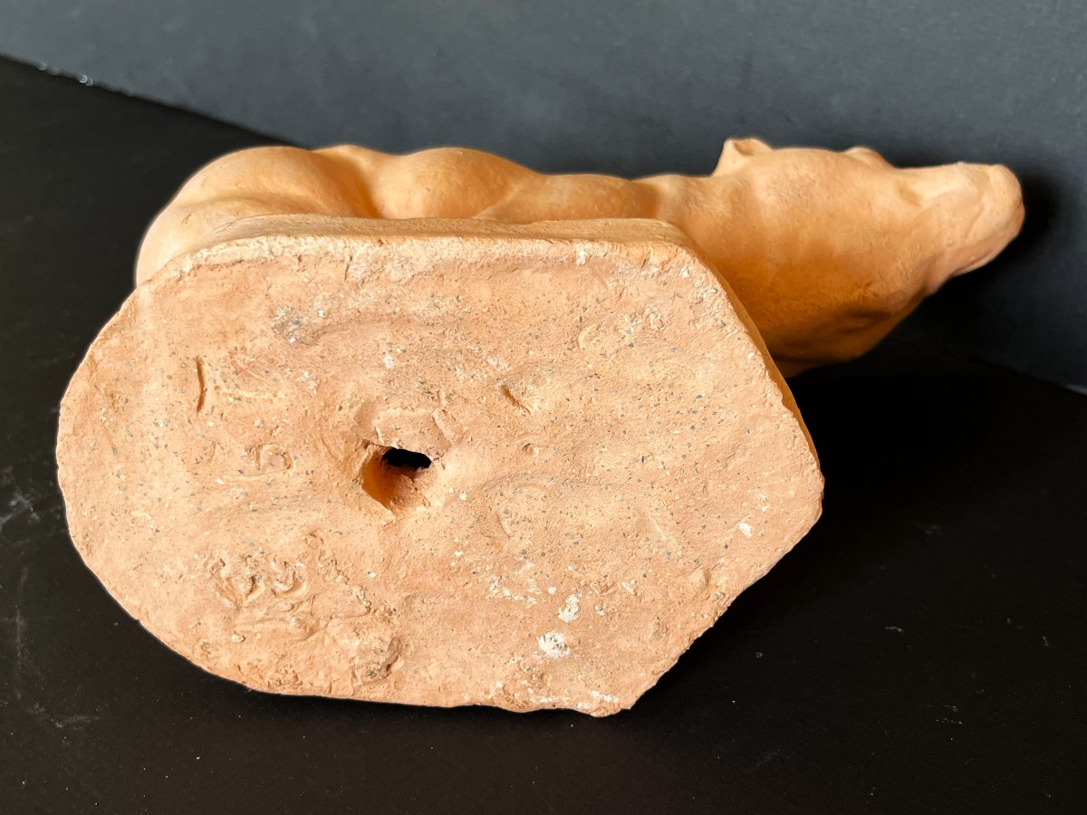 Art Deco Terracotta Bear Dated 1931-photo-4