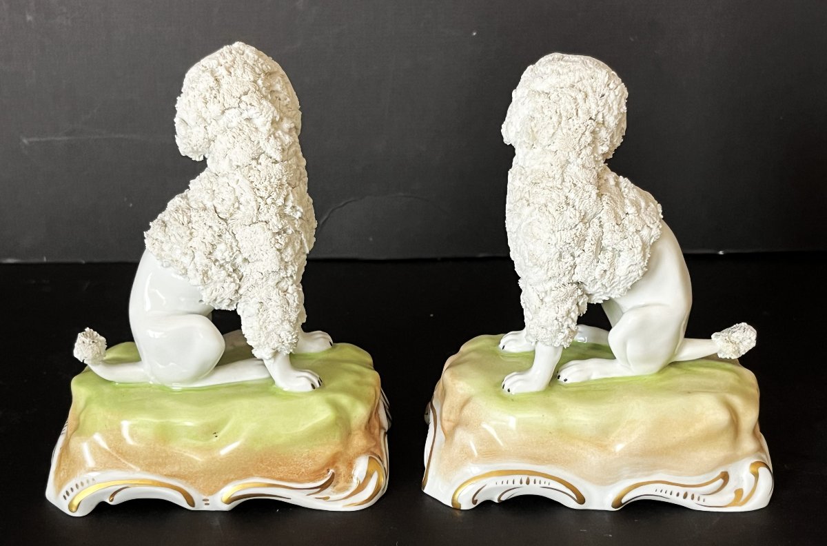 Porcelaine de Dresde, paire de  caniches royaux assis.-photo-2
