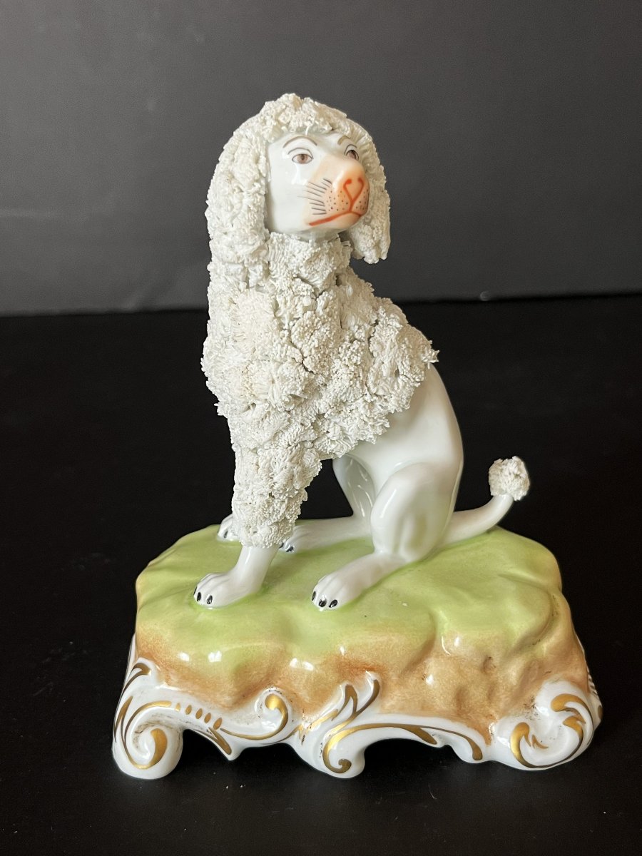 Porcelaine de Dresde, paire de  caniches royaux assis.-photo-4